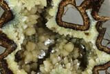 Utah Septarian Geode Bookends - Beautiful #94418-3